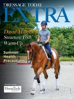 Practical Horseman